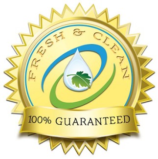 Fresh & Clean Logo for QR Code